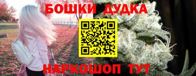 сатива Камышлов