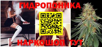 скорость Канаш