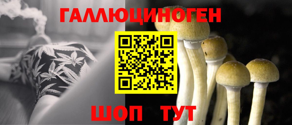 Галлюциногенные грибы мицелий Великие Луки